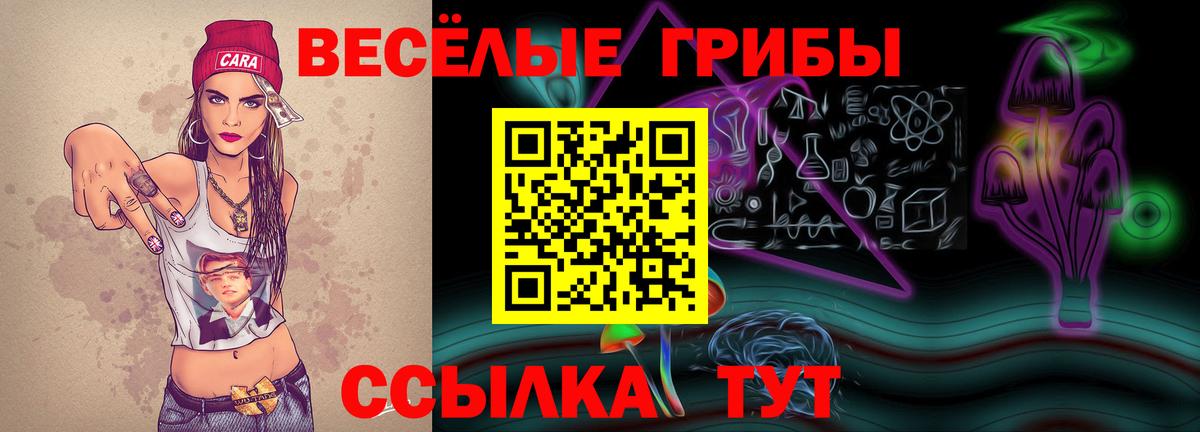 Жигулёвск  Псилоцибиновые грибы прущие грибы  где можно купить   Вход с VPN 